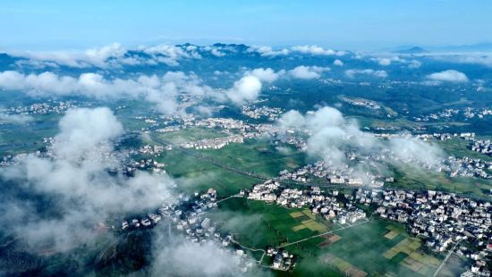 һ�ܺ��ľ��x�������ƺ��ճ����箋 ���g�������oæ